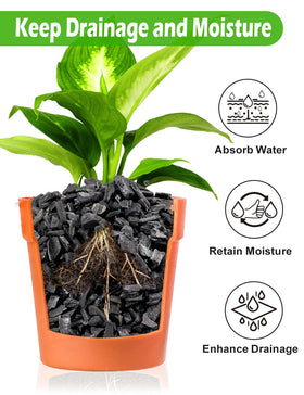 Terrarium use of TOYPOPOR charcoal improves drainage and airflow