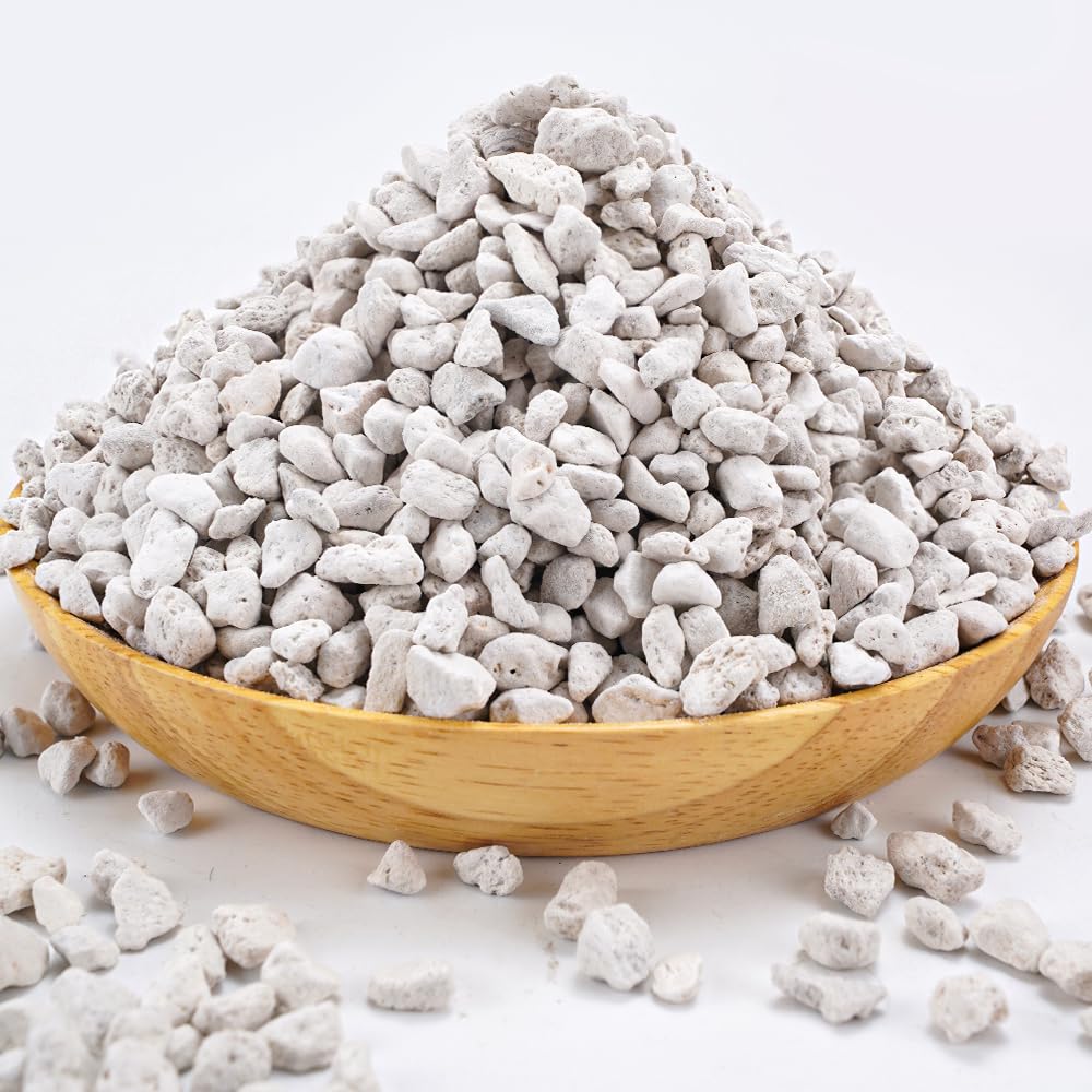 TOYPOPOR Horticultural pumice for bonsai enhances drainage and soil aeration