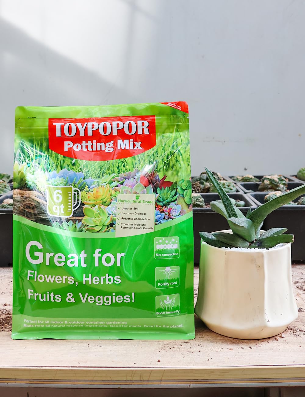 TOYPOPOR indoor plants thrive with pre-mixed succulent soil