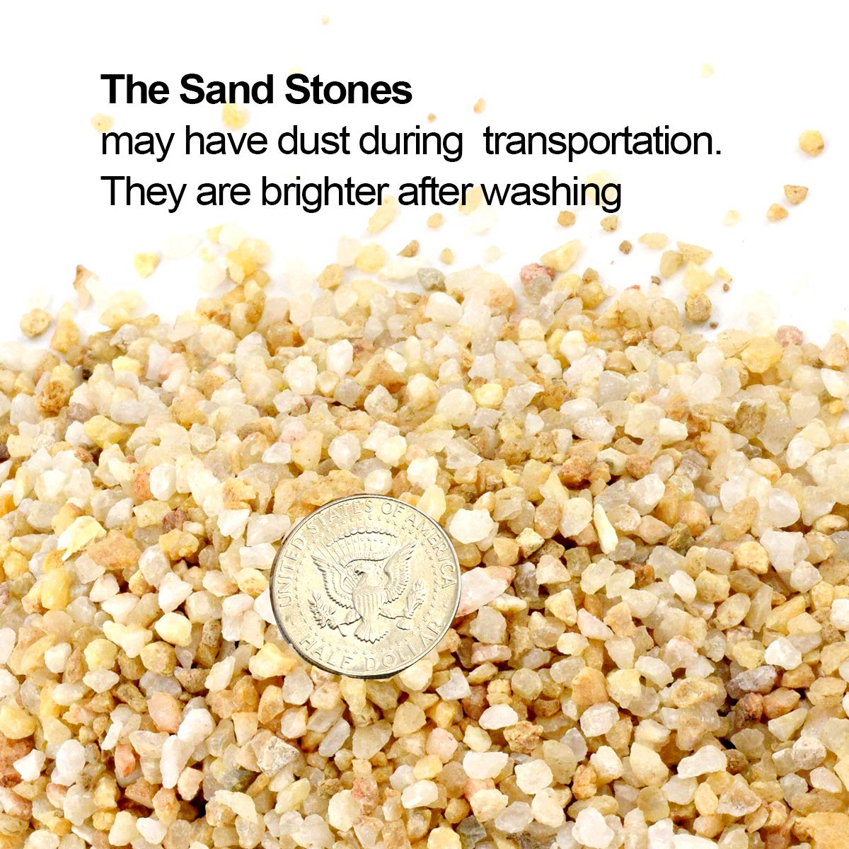 TOYPOPOR natural coarse sand for terrariums and drought-tolerant succulents