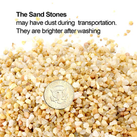 TOYPOPOR natural coarse sand for terrariums and drought-tolerant succulents