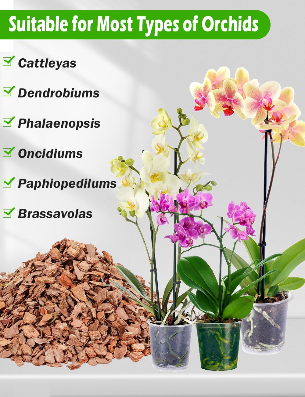 TOYPOPOR Root-friendly substrate balances moisture to prevent compaction.