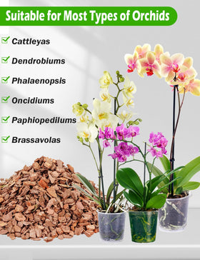 TOYPOPOR Root-friendly substrate balances moisture to prevent compaction.