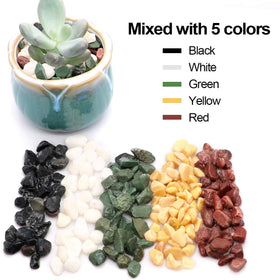 TOYPOPOR pastel accent stones enhance indoor plant displays.