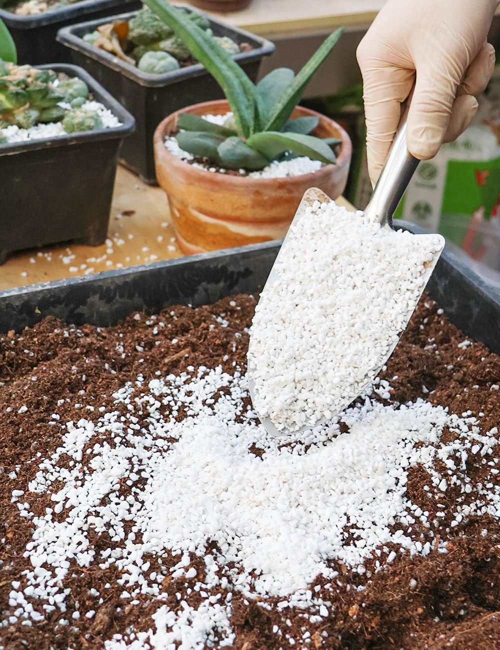 Close-up of TOYPOPOR Perlite 3-6mm in a container showing airy texture.