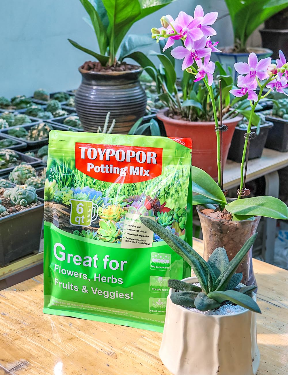 Visual of a lightweight soil blend with TOYPOPOR Perlite.