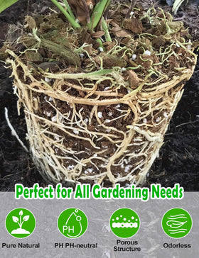 TOYPOPOR Perlite mixed into seed-starting mix for better root establishment.