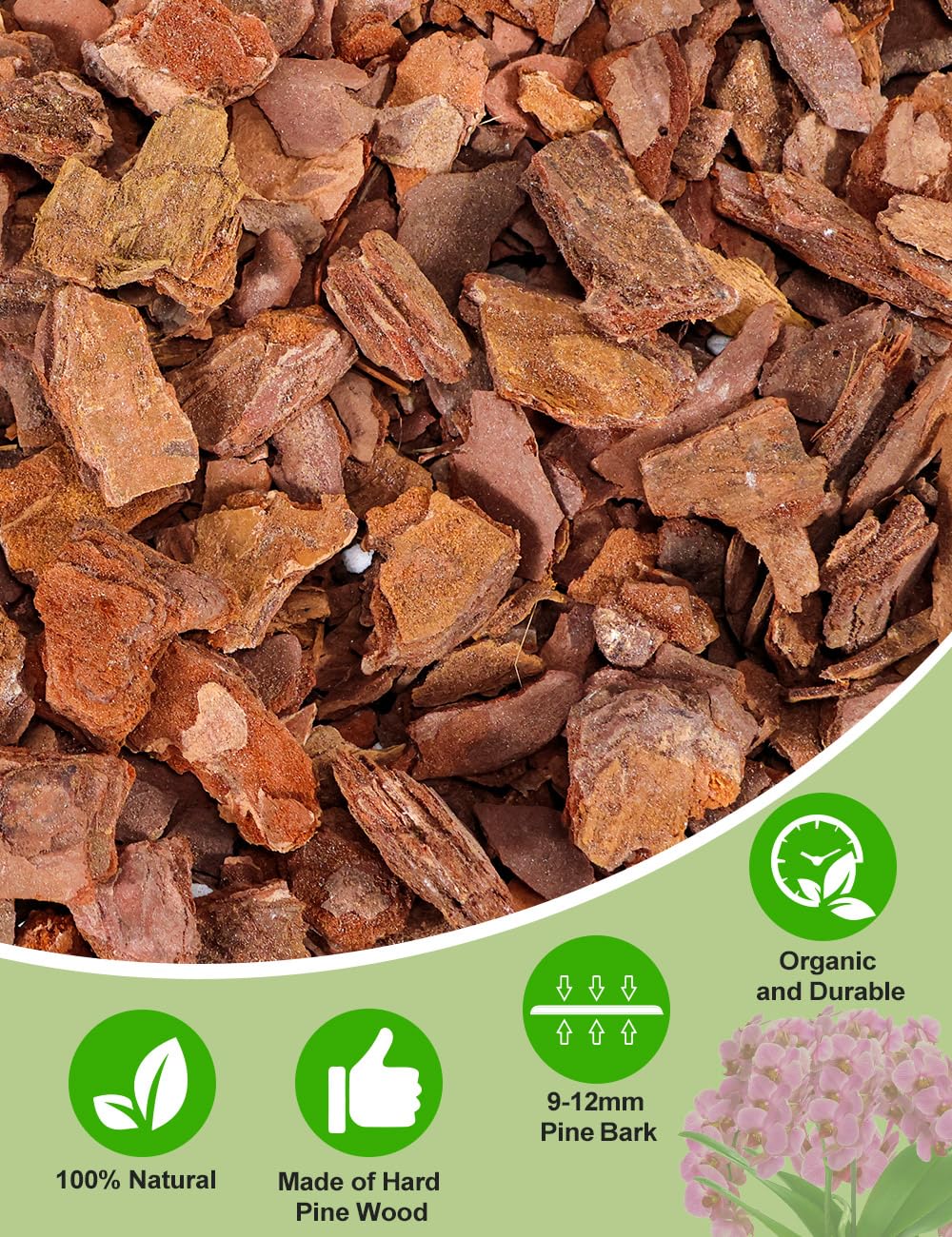 TOYPOPOR Perlite water-release pockets in orchid mix improve drainage and aeration.