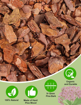 TOYPOPOR Perlite water-release pockets in orchid mix improve drainage and aeration.