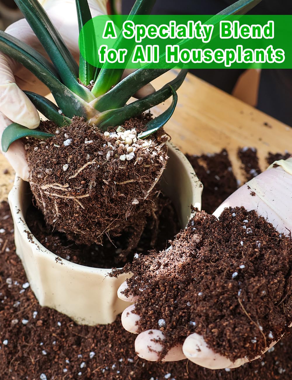 TOYPOPOR PH-balanced soil enhancing nutrient uptake for strong growth