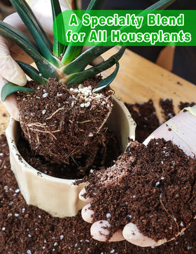 TOYPOPOR PH-balanced soil enhancing nutrient uptake for strong growth