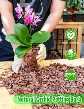 TOYPOPOR Pine bark wood chips for orchids support root growth and drainage.