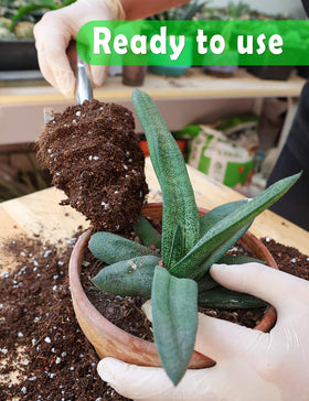 TOYPOPOR aerated texture enhances root oxygen access for healthier growth.