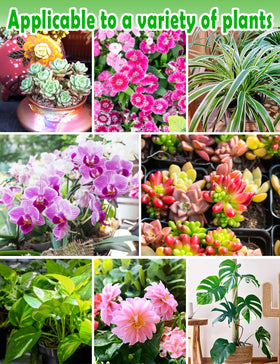 TOYPOPOR indoor plant soil ideal for a variety of houseplants in collections.