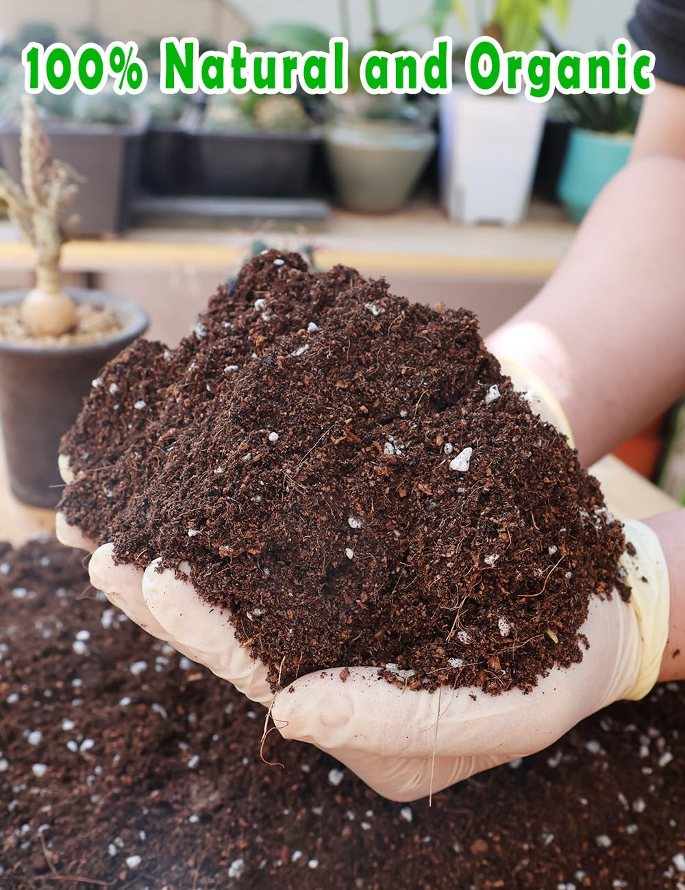 TOYPOPOR soil shows perlite drainage for healthier root systems.