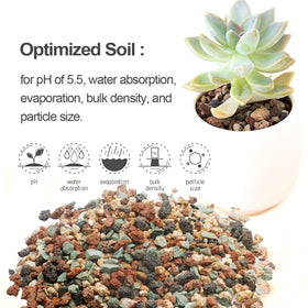 TOYPOPOR pumice potting soil amendment improves aeration and root health.