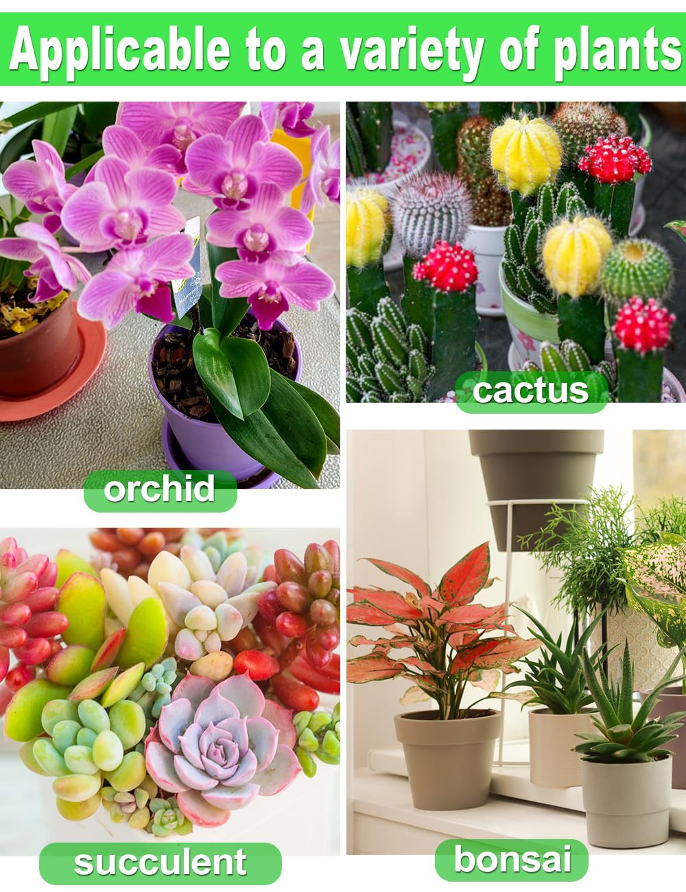 TOYPOPOR Quick-draining orchid mix enables faster root ventilation.