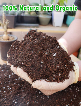 TOYPOPOR soil with perlite highlights fast drainage for healthy roots
