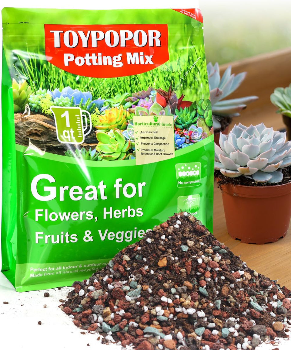 TOYPOPOR succulent soil bag front view for ready-to-use planting convenience