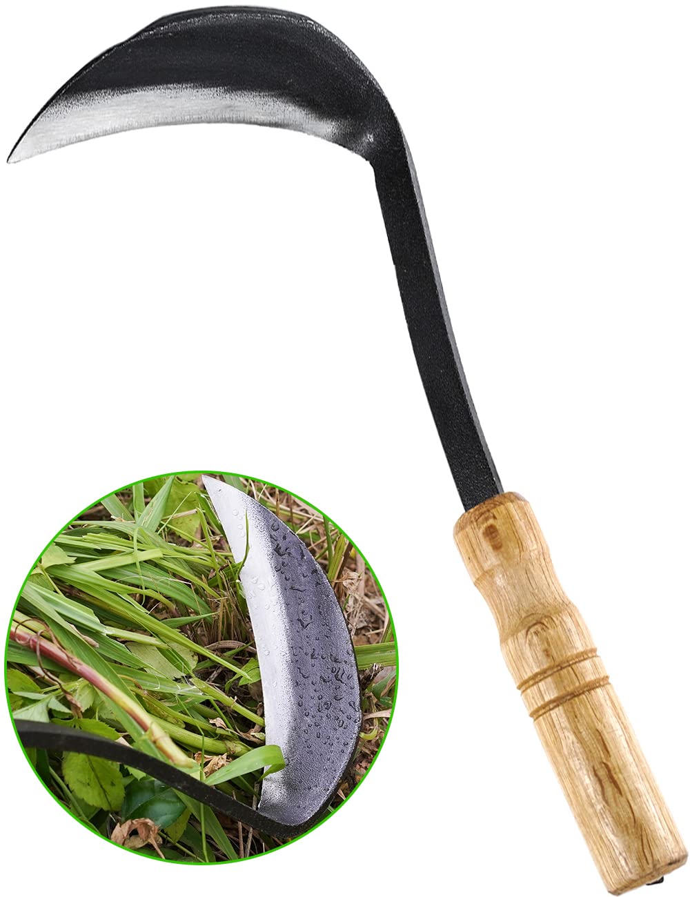 TOYPOPOR weeding sickle with 11-inch wood handle for precise weed cleanup.
