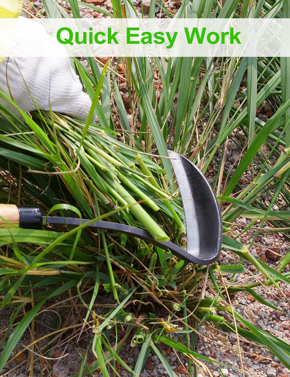 TOYPOPOR full-tool shot showcases lightweight balance for easy weeding.