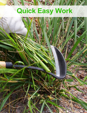 TOYPOPOR full-tool shot showcases lightweight balance for easy weeding.