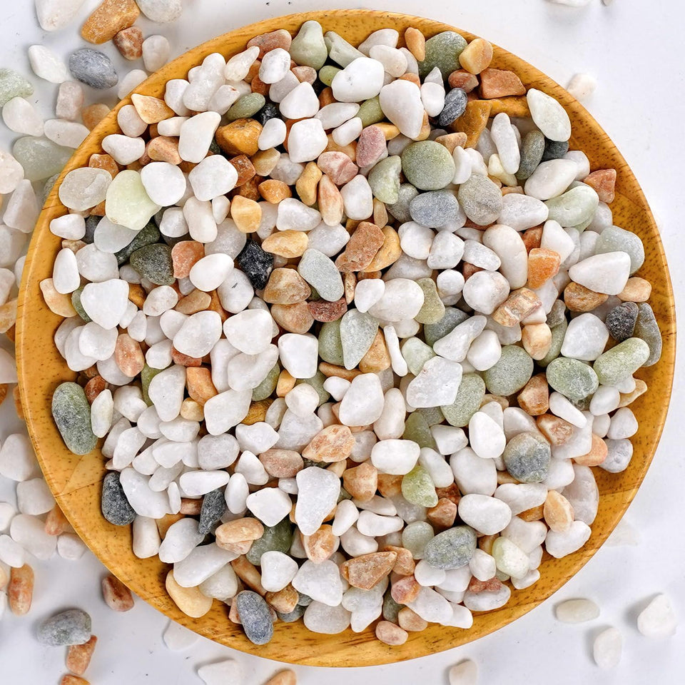 TOYPOPOR mixed color rocks for planters with white base and pastel accents.