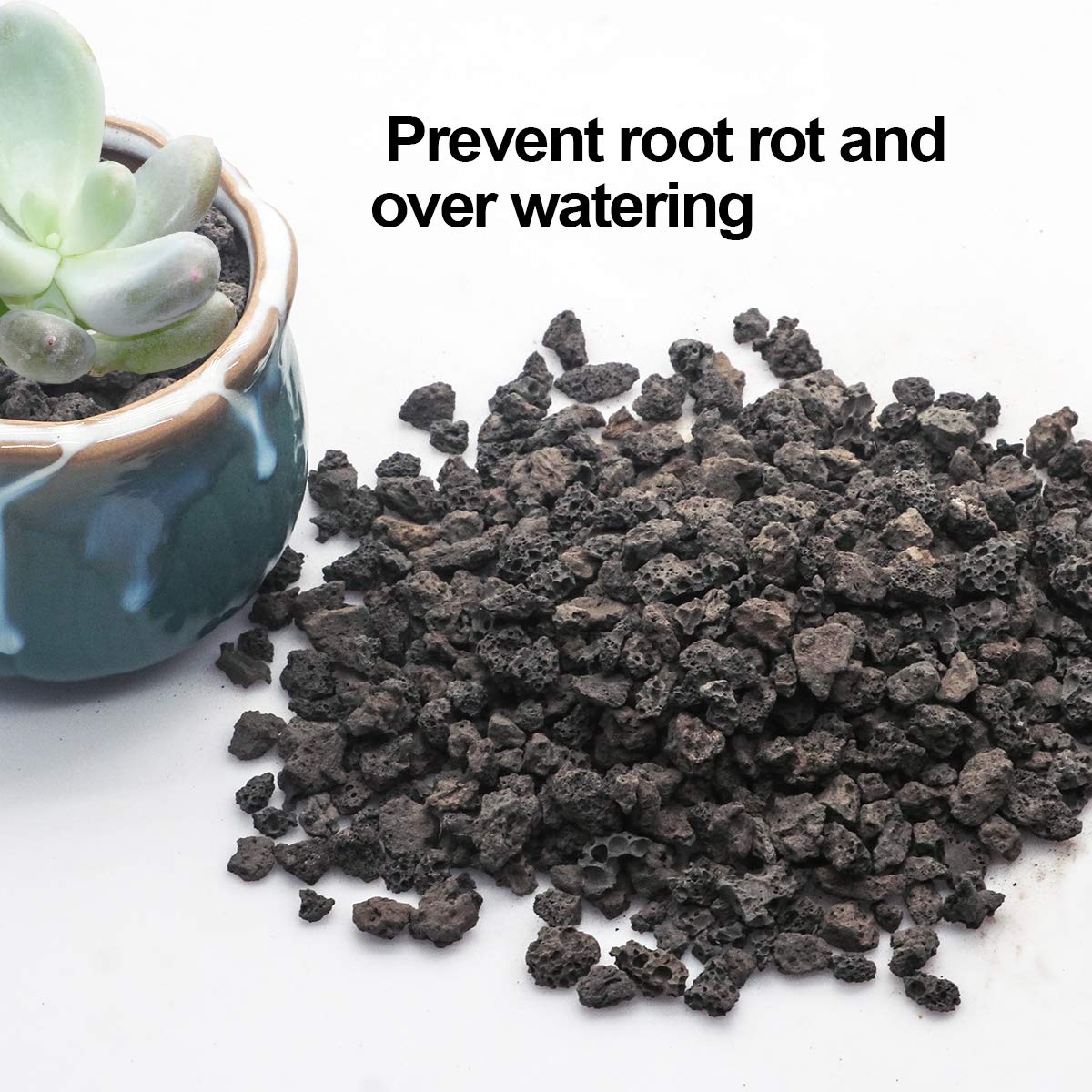 TOYPOPOR bonsai and succulent top-dressing enhances aesthetics and soil health.