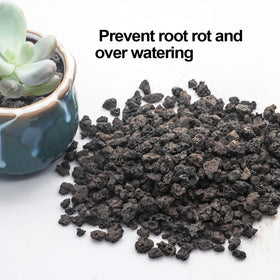 TOYPOPOR bonsai and succulent top-dressing enhances aesthetics and soil health.