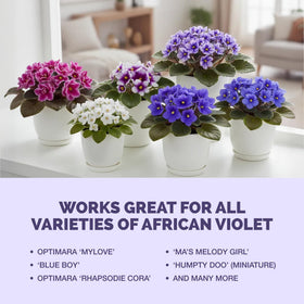 TPS NUTRIENTS African Violet USA Made Label emphasizing domestic production quality