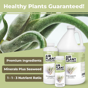TPS NUTRIENTS Air Plant Fertilizer foliar spray enhances leaf color and growth