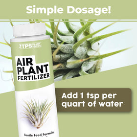 TPS NUTRIENTS Air Plant Fertilizer soaking method provides gentle nutrition for Tillandsia