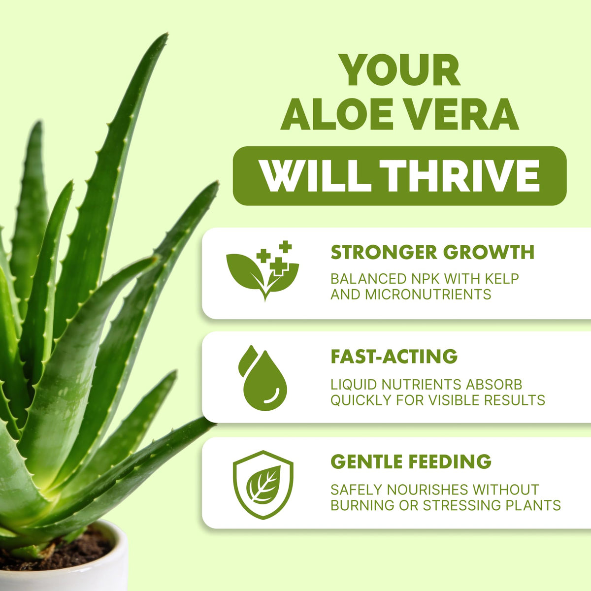 TPS NUTRIENTS Aloe Fertilizer pour demonstrates gentle application.