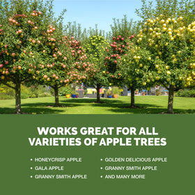TPS NUTRIENTS Apple Tree Fertilizer label close-up communicates USA-made quality and user-friendly ingredients.
