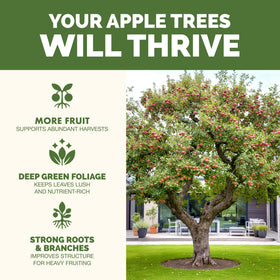 TPS NUTRIENTS Apple Tree Fertilizer bottle close-up highlights balanced nutrition for steady growth.