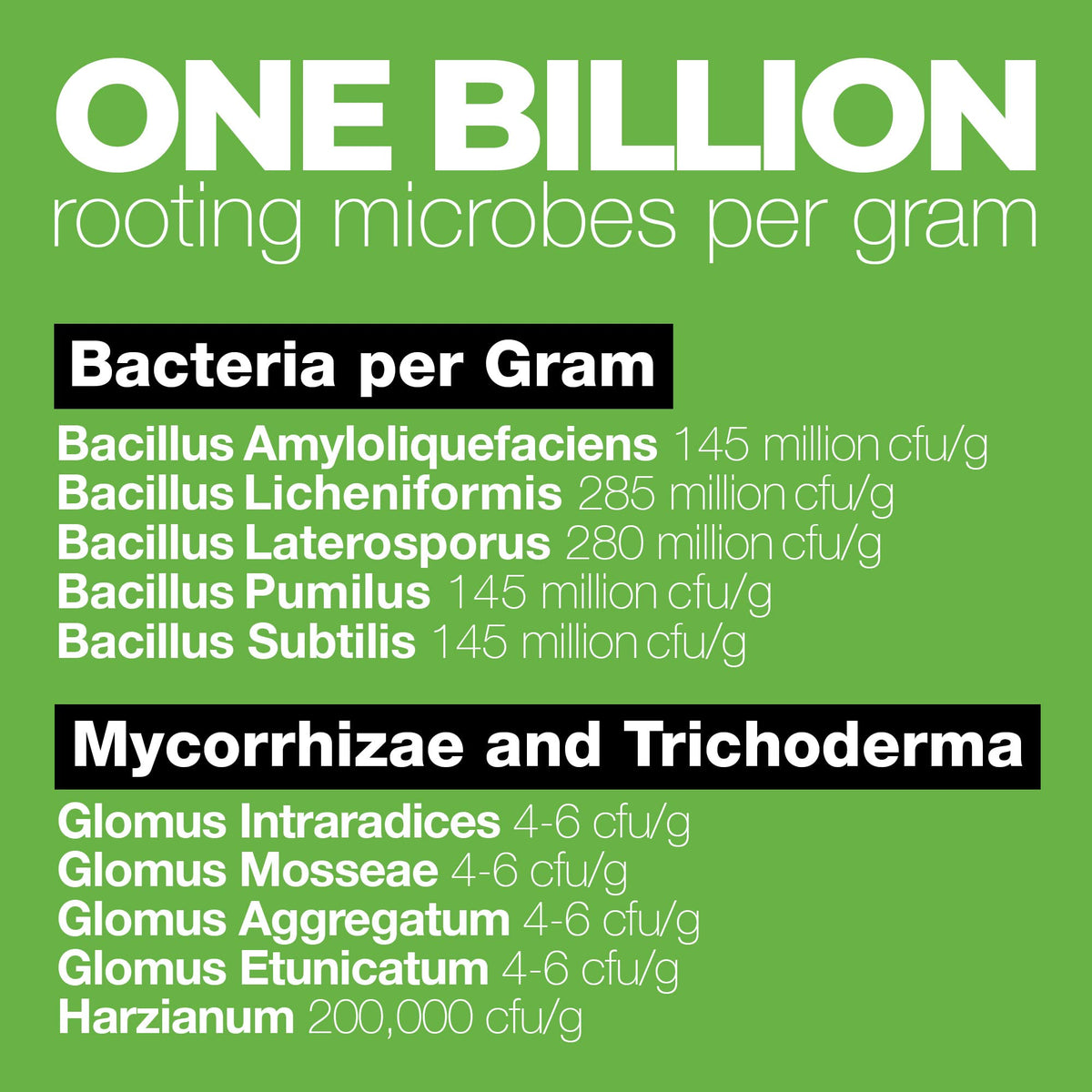 TPS Nutrients Billions soil biology enhances microbial activity in garden soil.