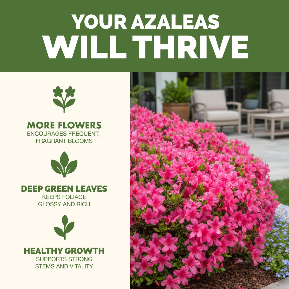 TPS NUTRIENTS Bloom detail shows vibrant azalea petals