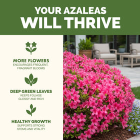 TPS NUTRIENTS Bloom detail shows vibrant azalea petals