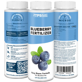 TPS NUTRIENTS Blueberry berries ready to harvest after proper feeding