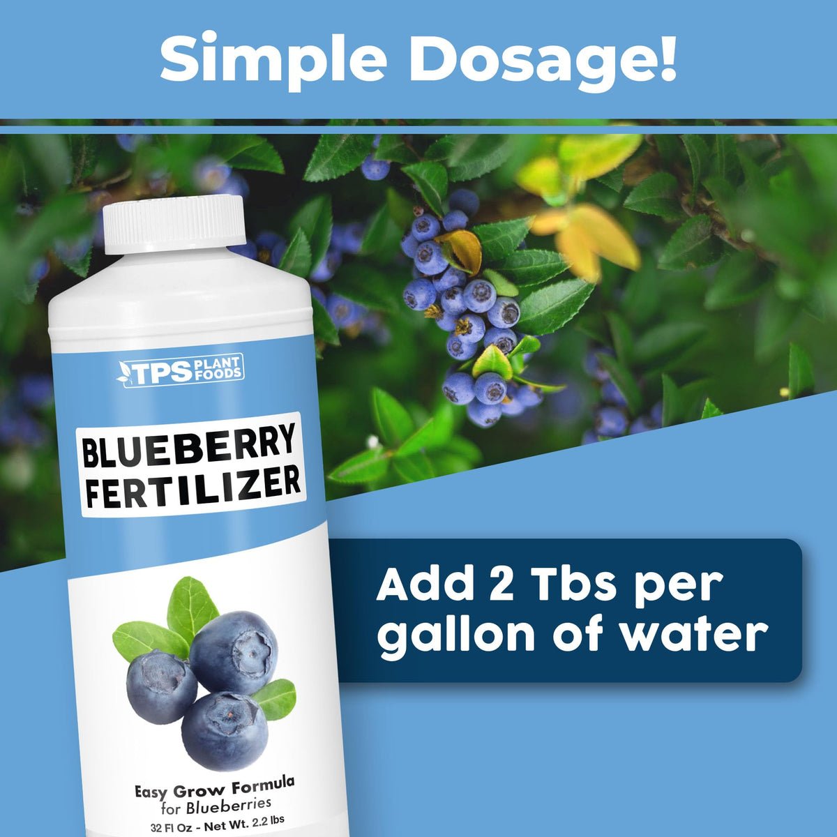 TPS NUTRIENTS Blueberry Fertilizer being applied to a blueberry plant for better fruiting.