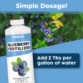 TPS NUTRIENTS Blueberry Fertilizer being applied to a blueberry plant for better fruiting.