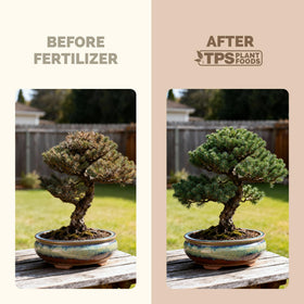 TPS NUTRIENTS Bonsai Fertilizer in-pot care for balanced growth