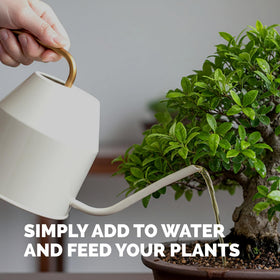 TPS NUTRIENTS Bonsai Fertilizer liquid formula enables rapid uptake