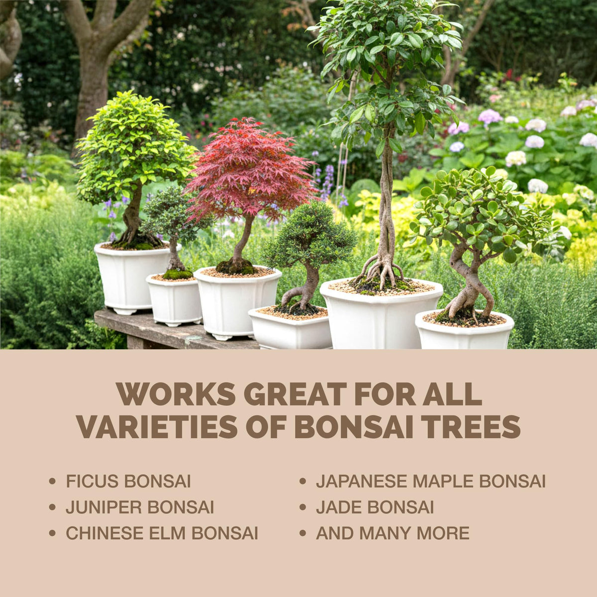 TPS NUTRIENTS Bonsai Fertilizer made in USA ensures quality