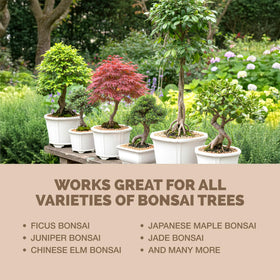 TPS NUTRIENTS Bonsai Fertilizer made in USA ensures quality