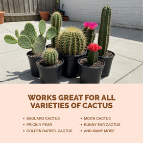 TPS NUTRIENTS Cactus Fertilizer helps flowering cacti show brighter blooms.