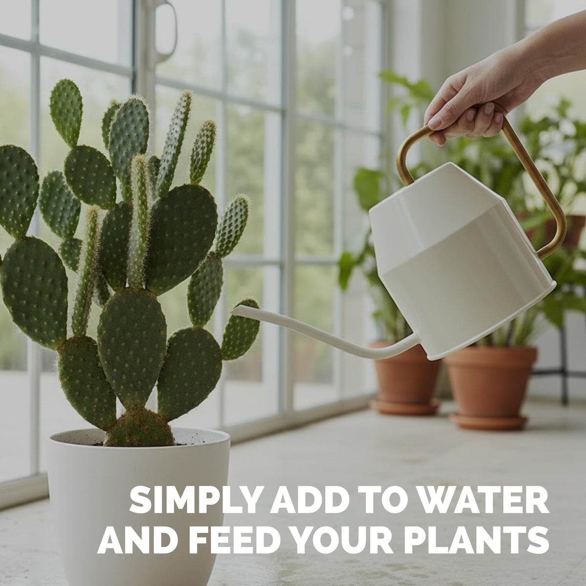 TPS NUTRIENTS Cactus Fertilizer supports healthy growth in indoor containers.