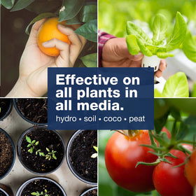TPS NUTRIENTS Cal-Mag Complete soil application demonstrates garden-friendly use