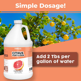 TPS NUTRIENTS Citrus Fertilizer leaves show vibrant foliage and balanced nutrition