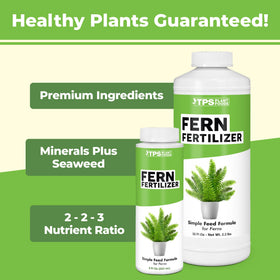 TPS NUTRIENTS Fern Fertilizer dense fronds for lush indoor green foliage
